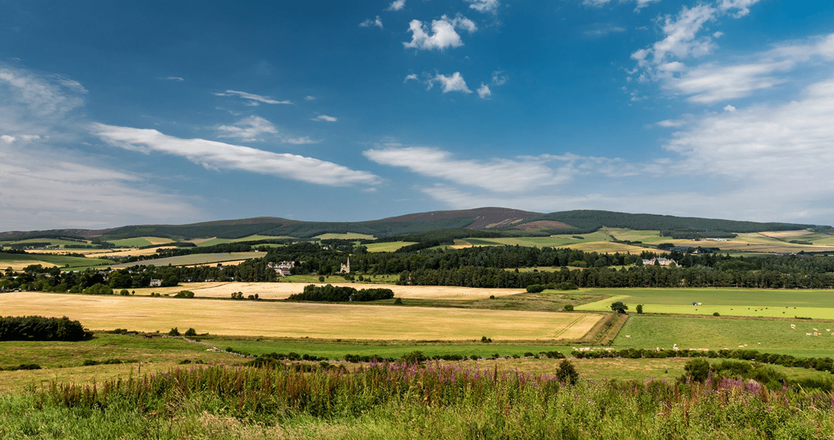 Fields